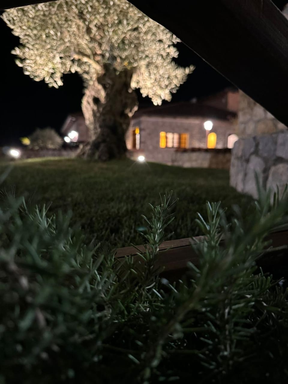 Property building, Garden