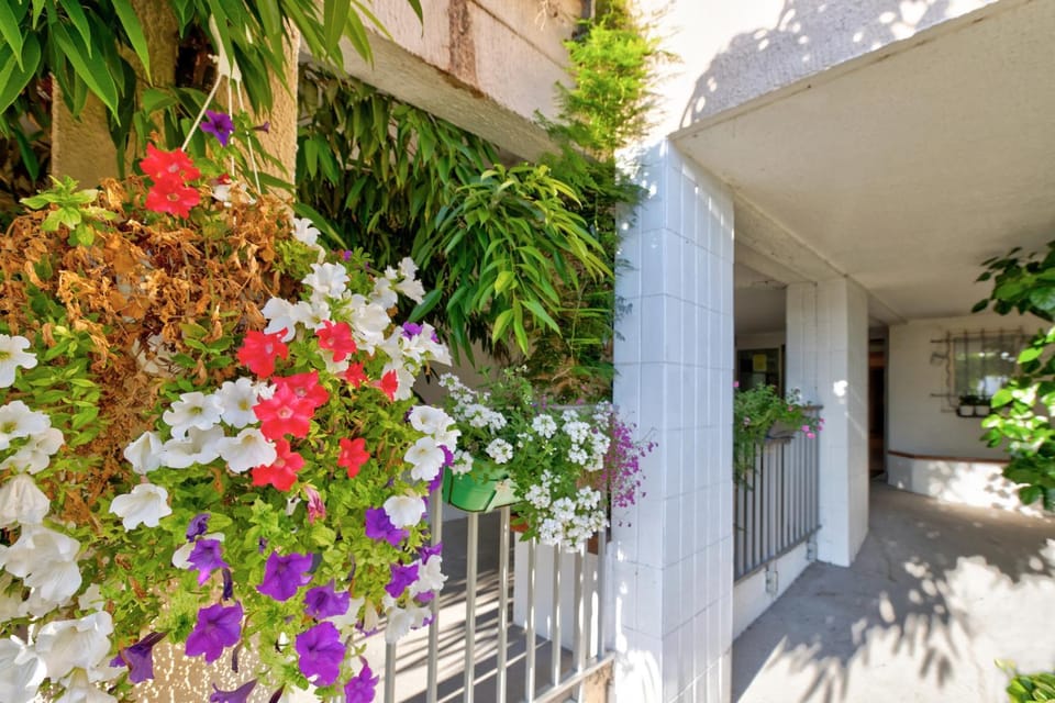 Property building, Spring, Day, Garden