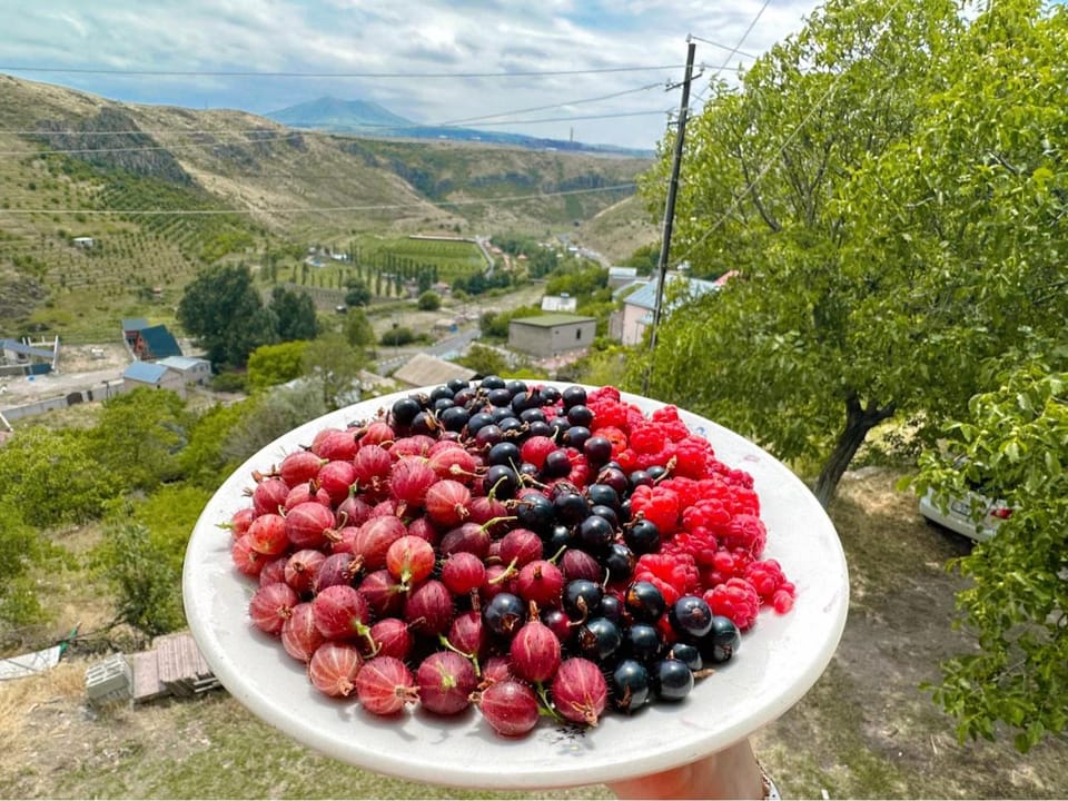 Food and drinks, Mountain view