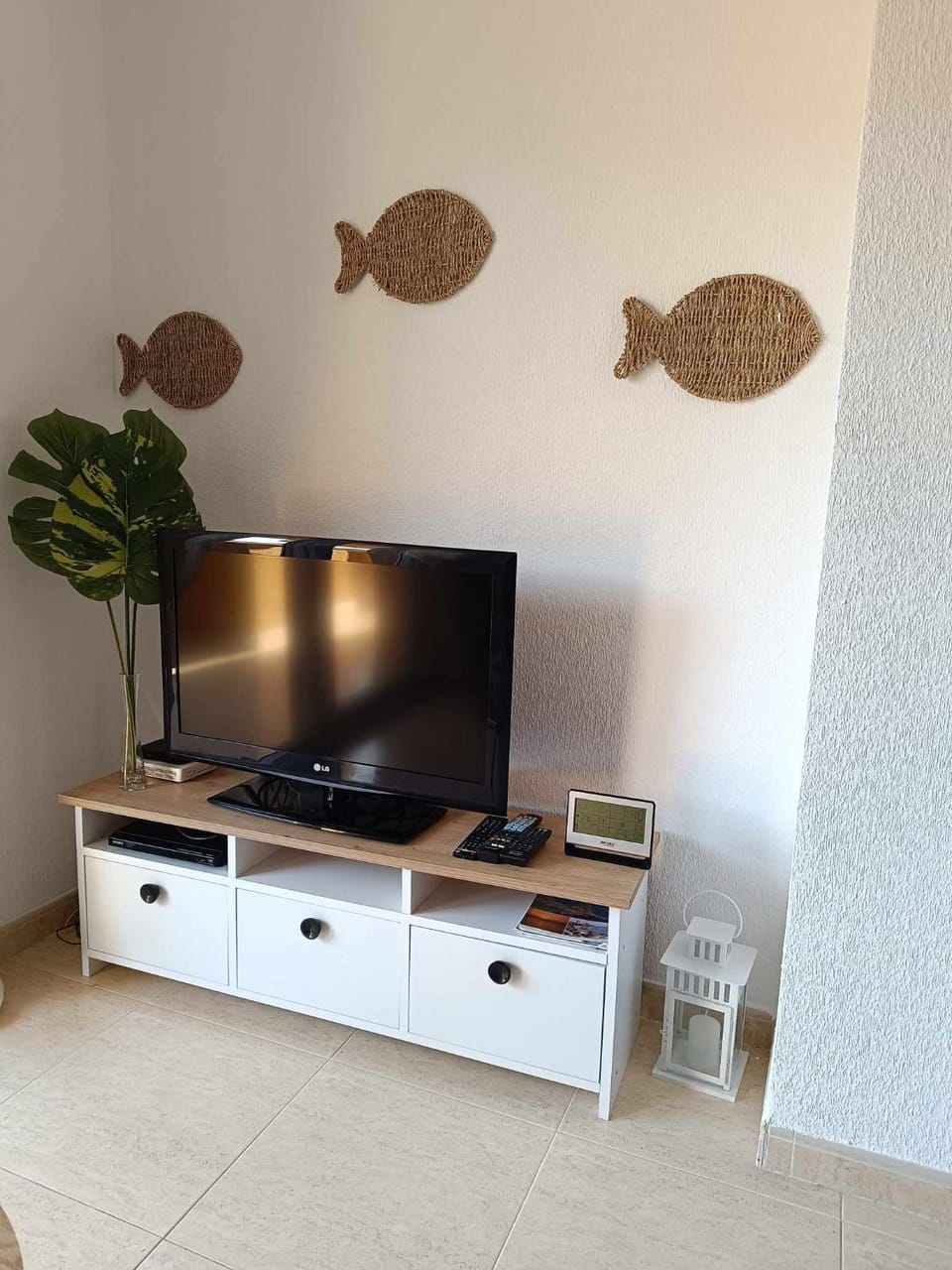 TV and multimedia