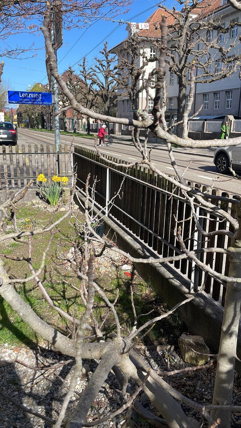 Casa Dora Bed and Breakfast in City of Bern