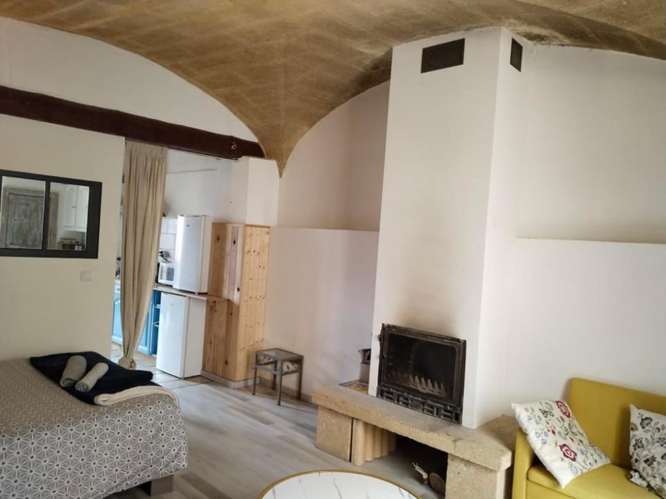 Studio Proche Pont du Gard Apartment in Provence