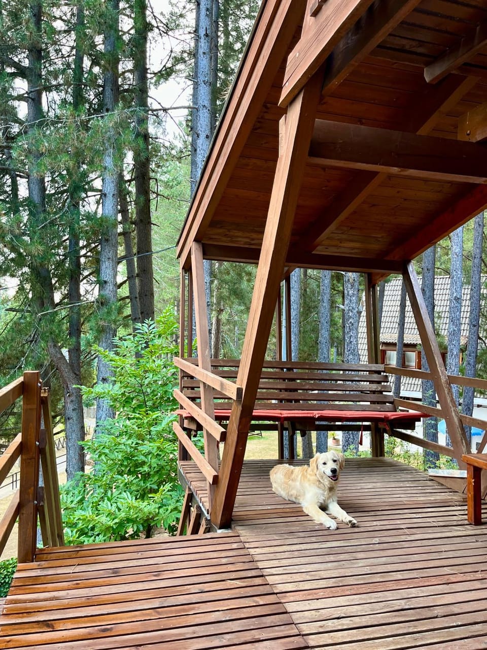 Chalet Natura la tana del ghiro Chalet in Calabria