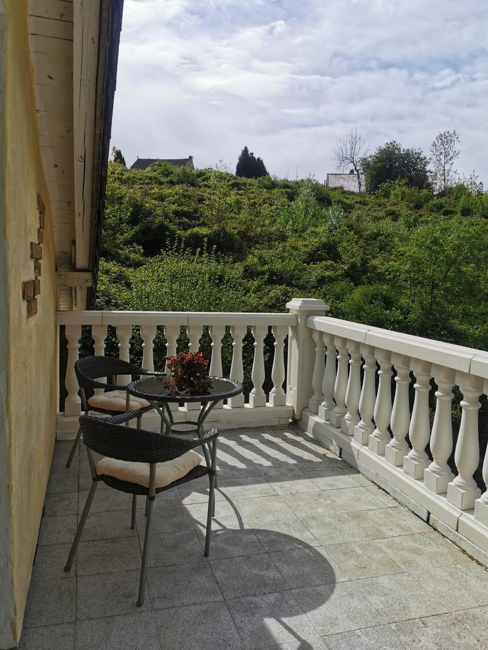 Balcony/Terrace