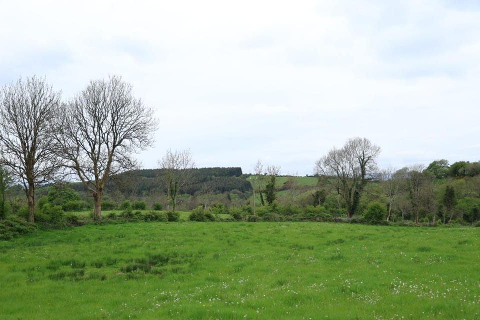 Natural landscape, Garden