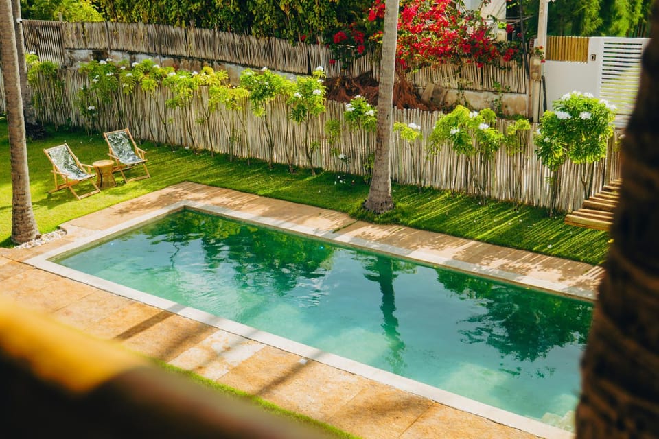 Garden, Garden view, Pool view, Swimming pool, sunbed