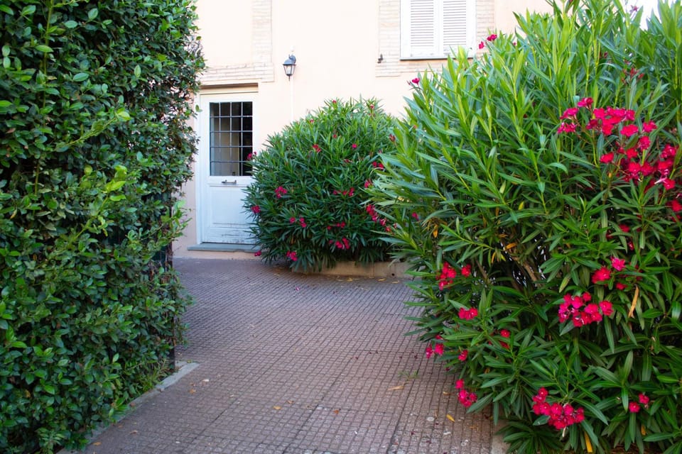 Casa Parco degli Ulivi Apartment in Frascati