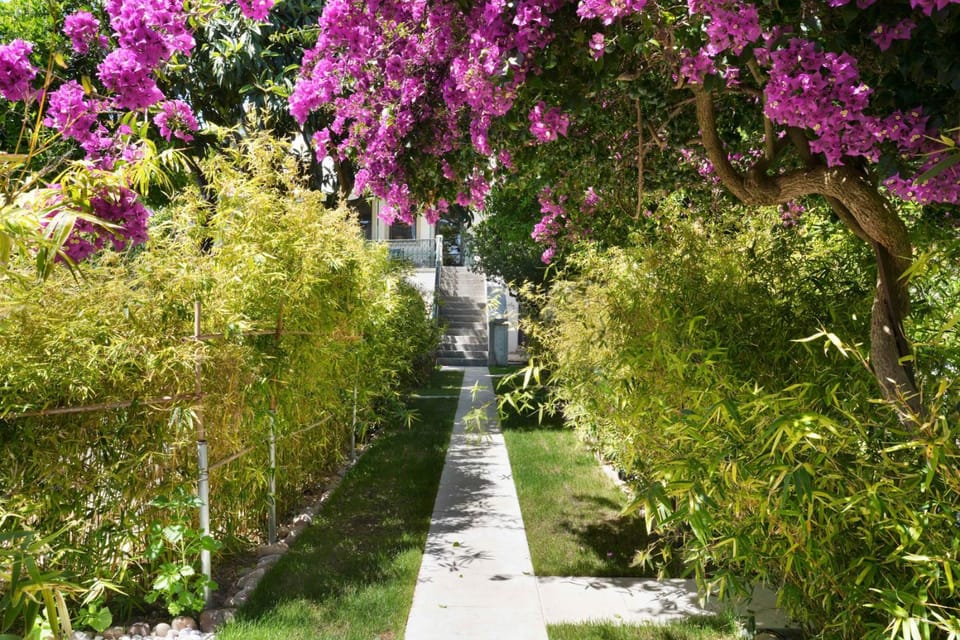 Garden, Garden view