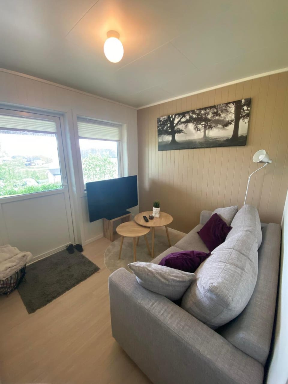Living room, Bedroom