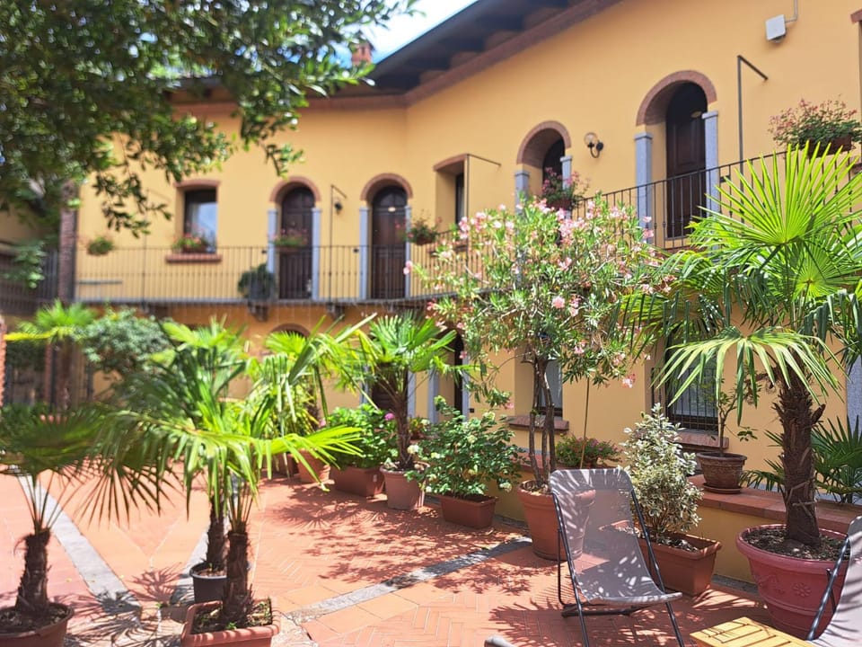 Garden view