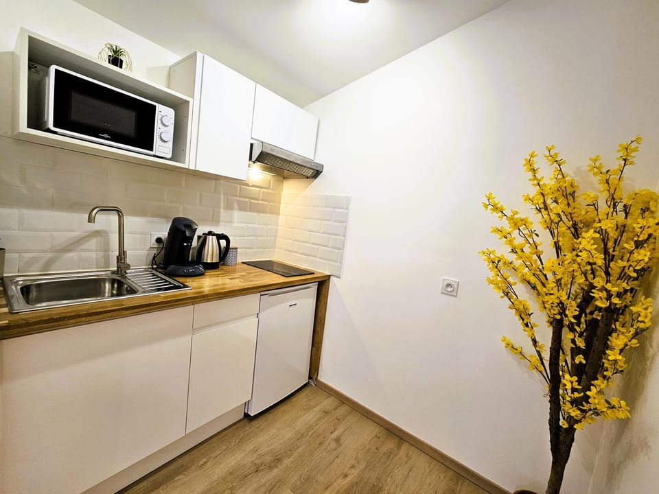 Tout confort ! Centre-ville, Climatisation, Parking, Wifi, Calme, TV Apartment in Carcassonne