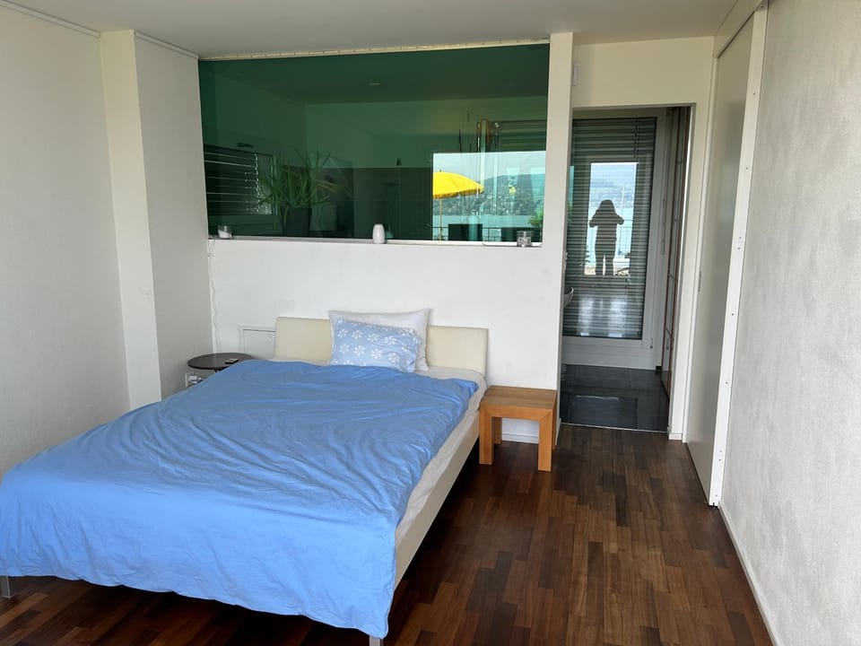 Zürichsee, Privatzimmer atemberaubender Aussicht Vacation rental in Zurich City