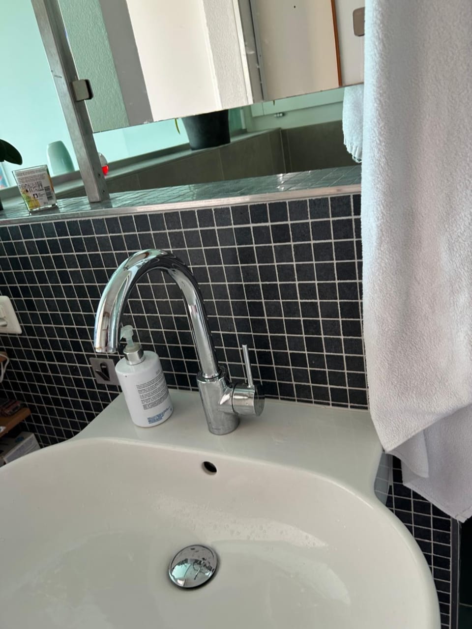 Zürichsee, Privatzimmer atemberaubender Aussicht Vacation rental in Zurich City
