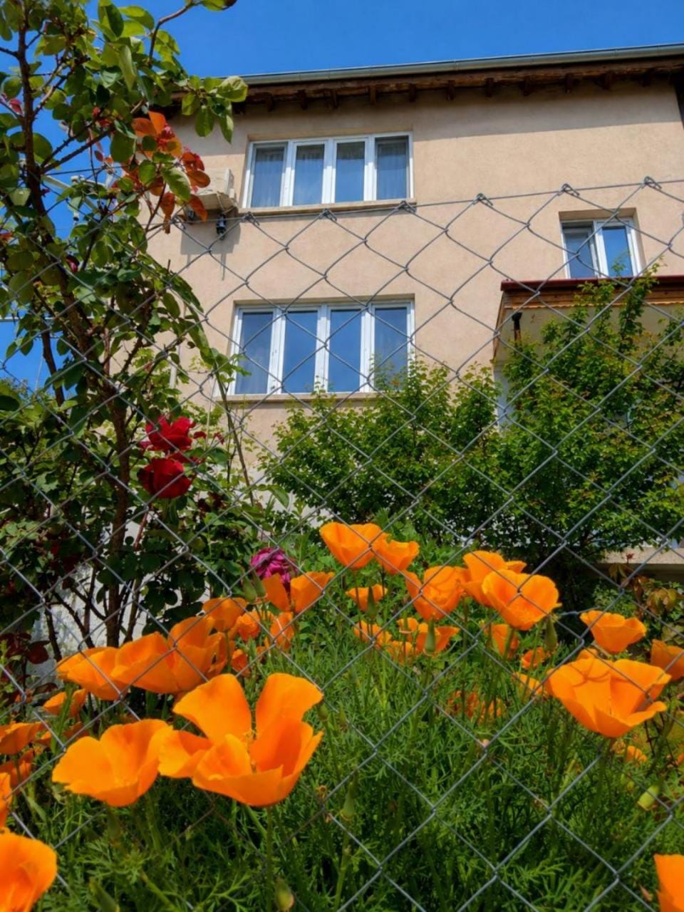 Къща за гости Веселина - Ивайловград Bed and Breakfast in Evros, Greece
