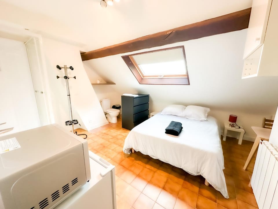 Anh Dao 2 - Studio, centre ville, tiamconciergerie Apartment in Île-de-France