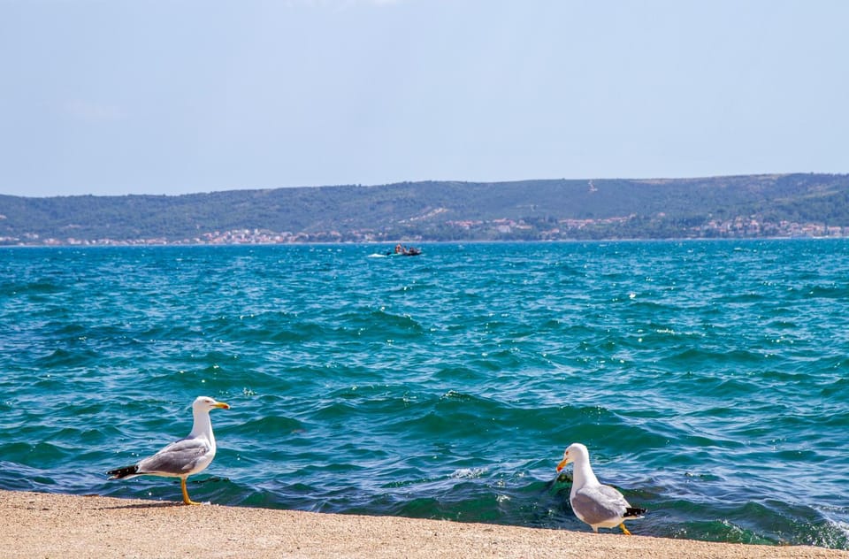 Day, Sea view