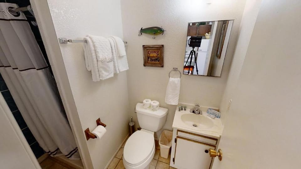 Toilet, Bathroom, towels