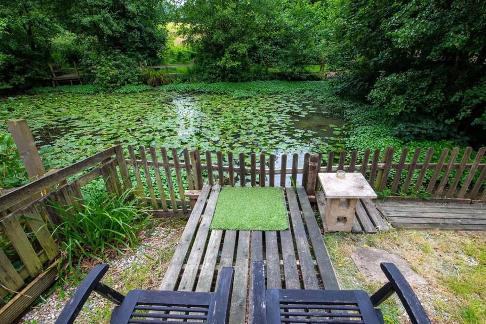 Natural landscape, Lake view