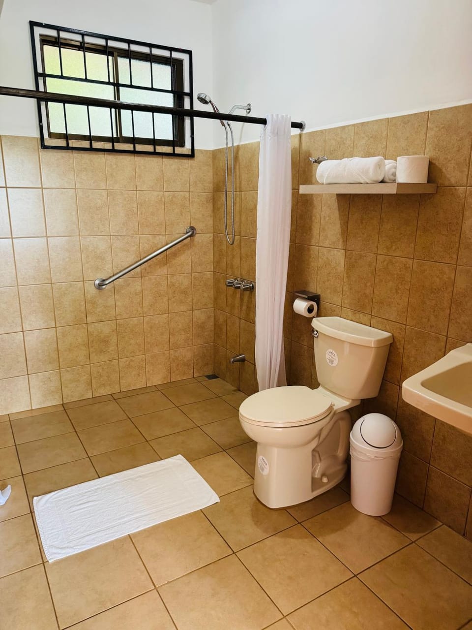 Shower, Toilet
