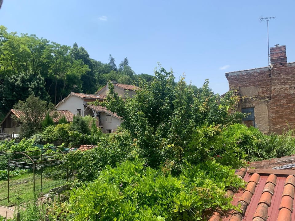View (from property/room)