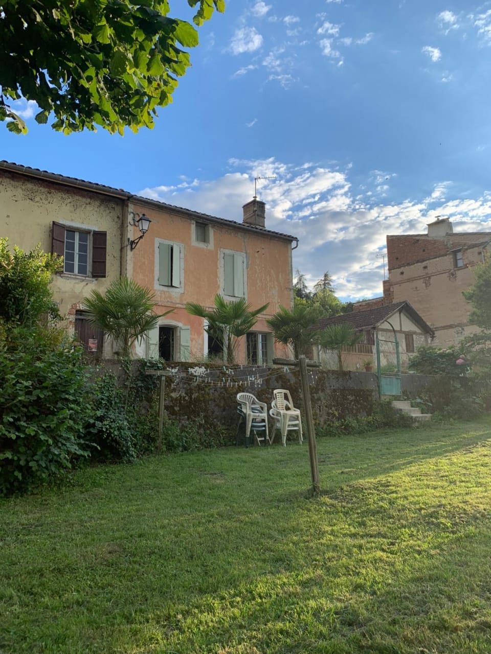 Garden view