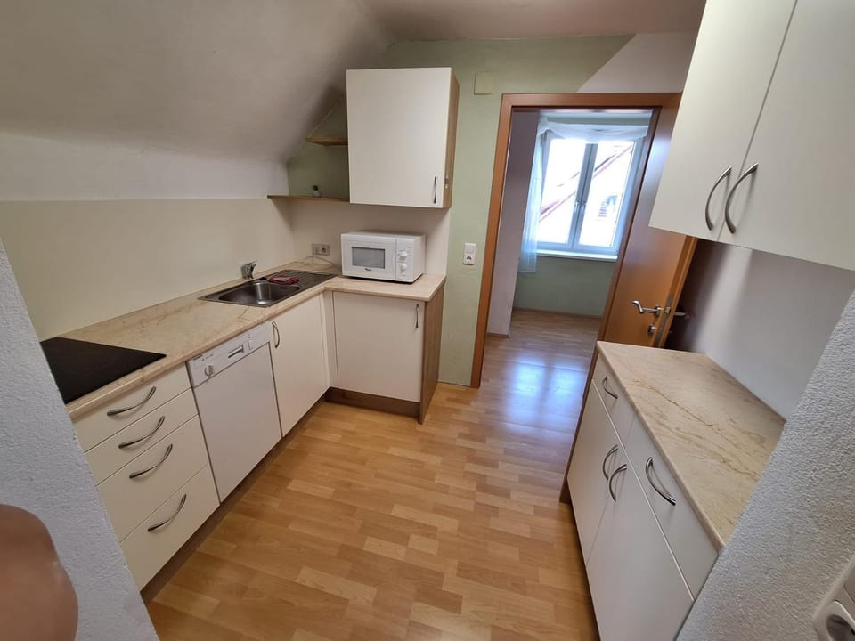 Kitchen or kitchenette, dishwasher, stove