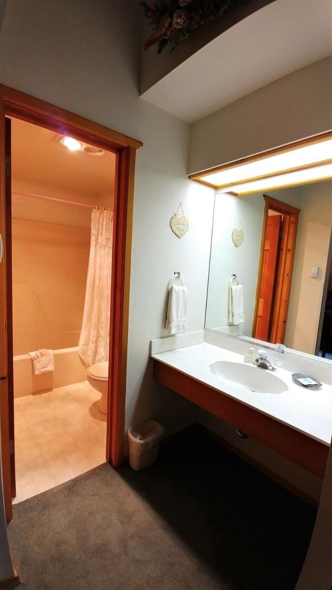Shower, Toilet, Bathroom, Bath, towels