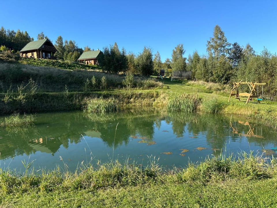 Spring, Natural landscape, Lake view