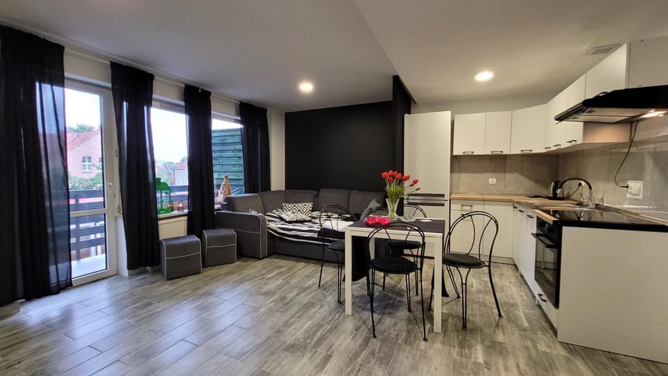 Kitchen or kitchenette, Living room, Seating area, Dining area, oven, stove