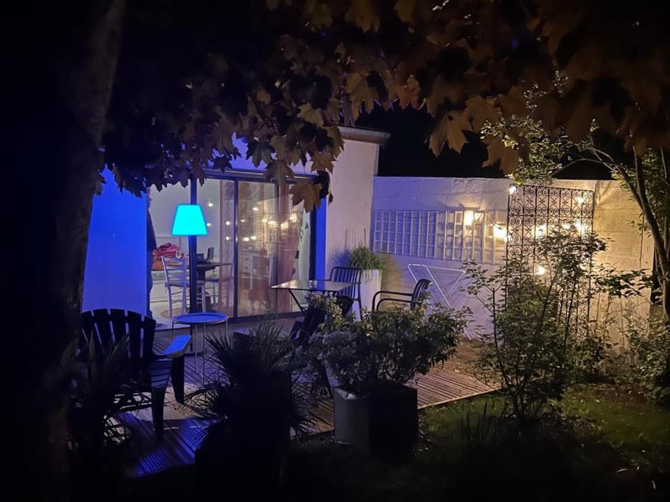 Patio, Night, Garden, Garden view