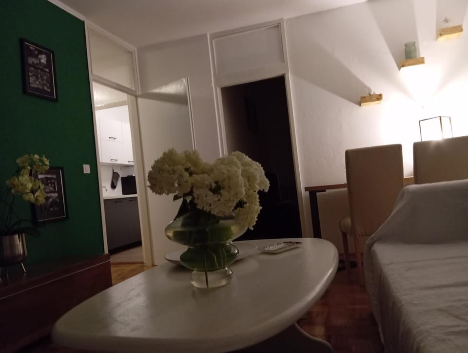 The Orchid Apartment in Federation of Bosnia and Herzegovina