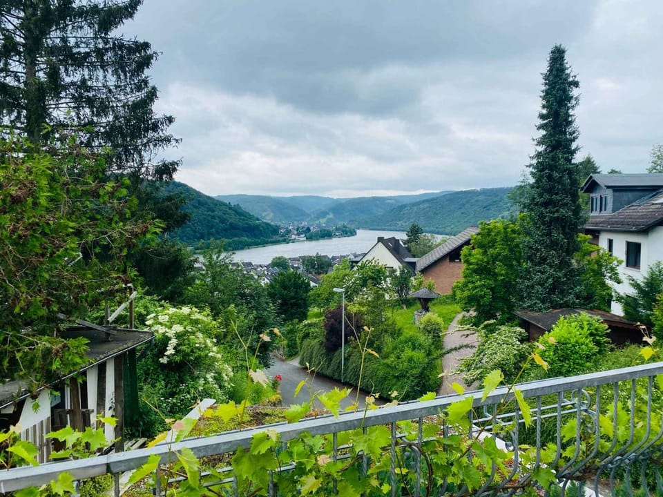 Natural landscape, Summer