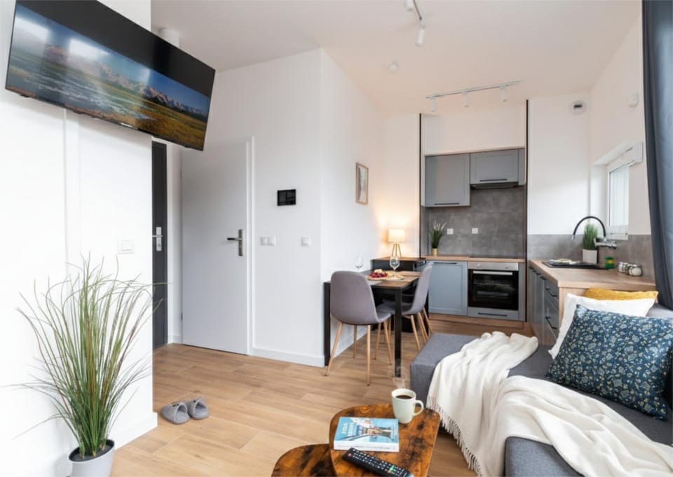 TV and multimedia, Kitchen or kitchenette, Living room, oven, stove, kitchen