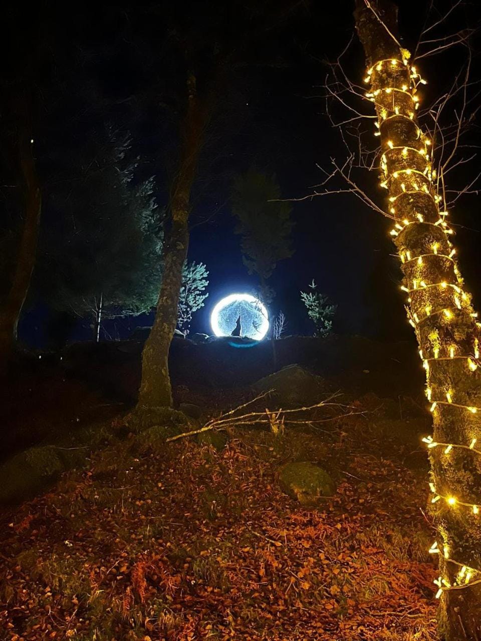 Night, Natural landscape