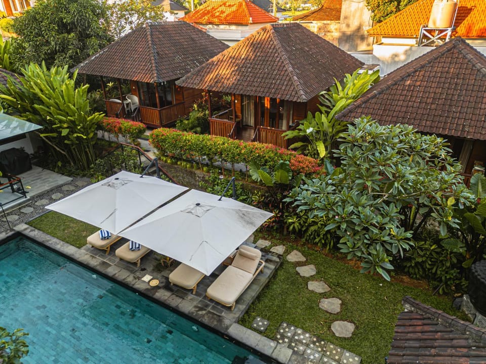 Property building, Patio, Garden, Garden view, Pool view, Swimming pool
