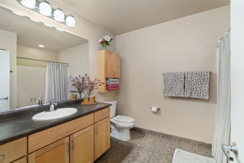 Downtown Cozy Suit with Free Parking Walk to Convention Center and Petco Park Apartment in San Diego
