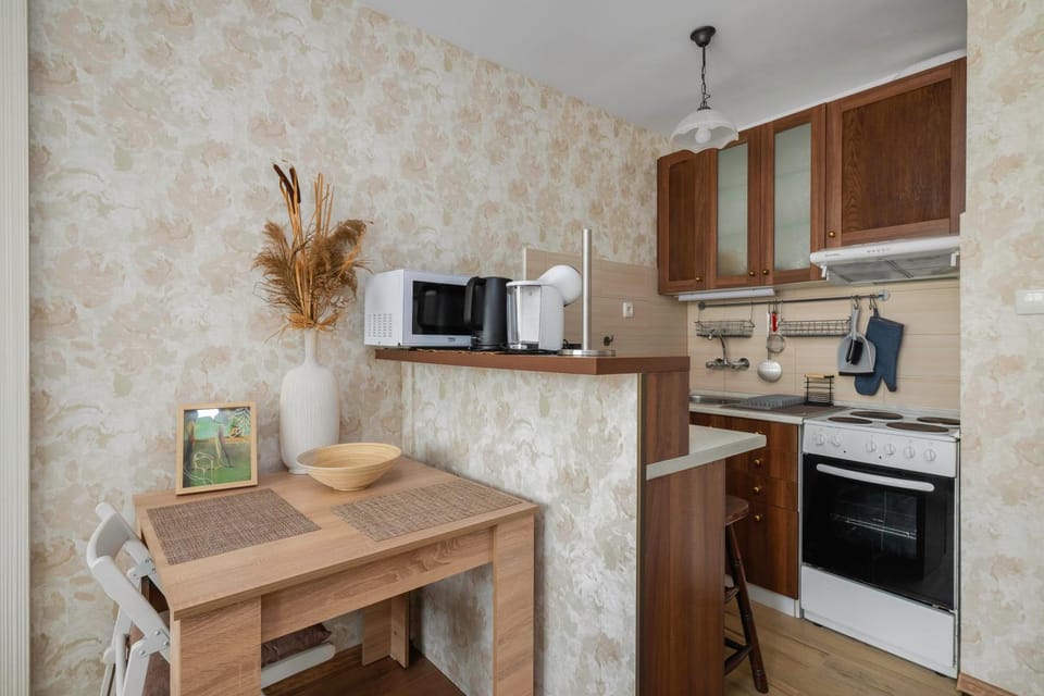 Vitosha Boulevard Studio Apartment in Sofia