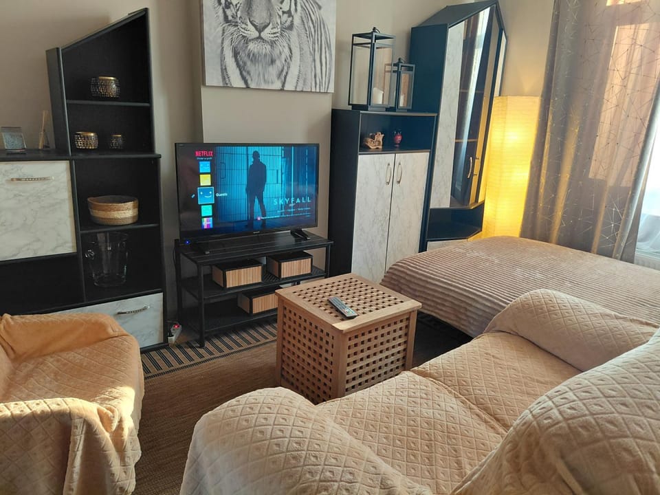 Sunny Days Cozy Apartment Apartment in Flanders