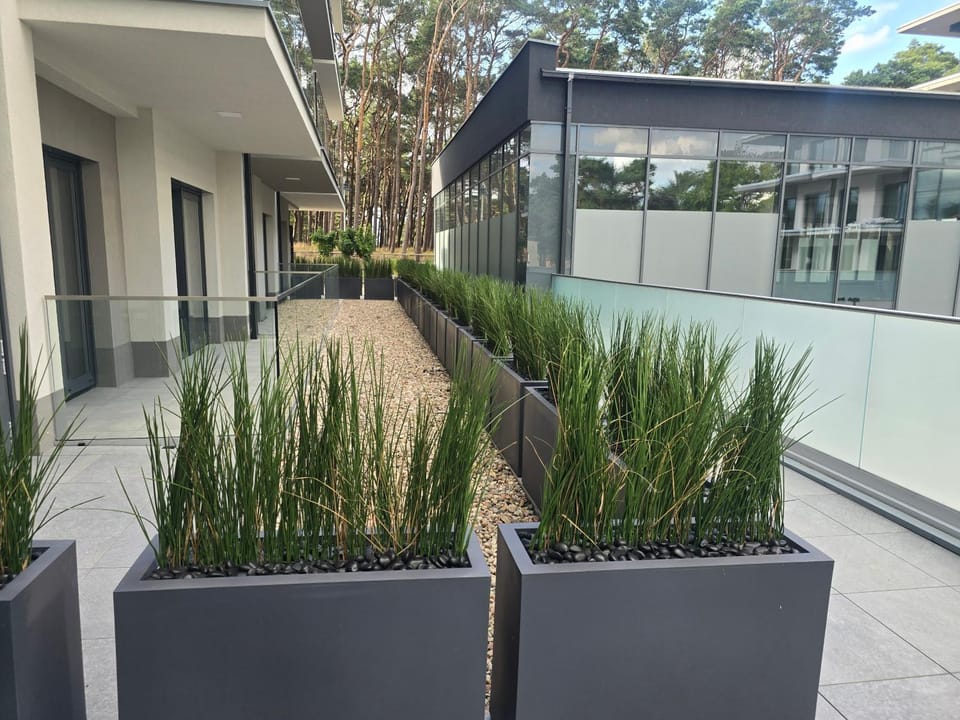 Property building, Garden view