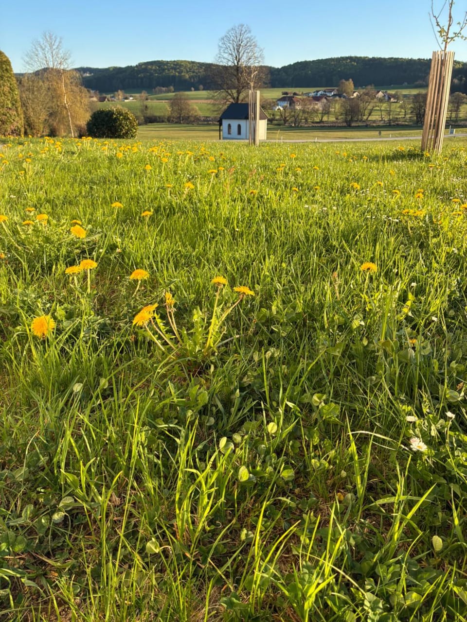 Garden, View (from property/room)