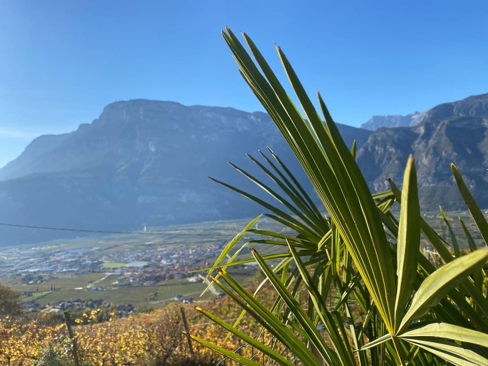 Day, Natural landscape, Mountain view