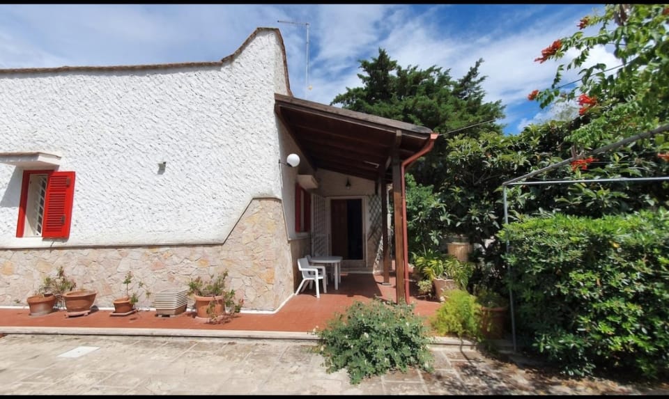 Property building, Garden, Garden view
