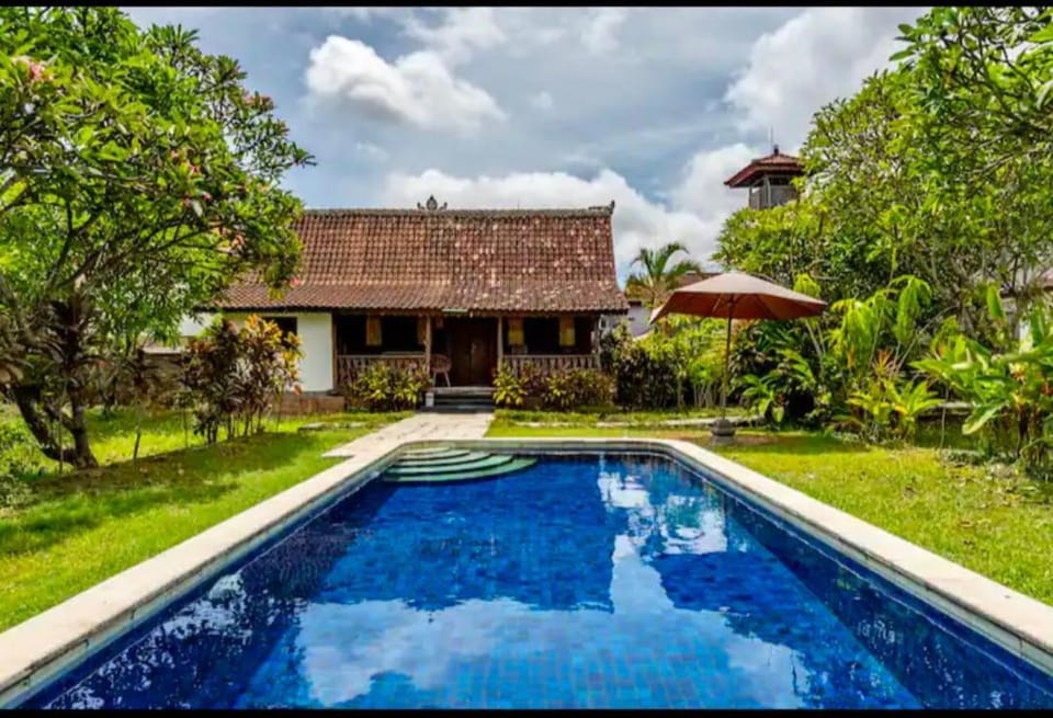 Property building, Spring, Day, Garden, Garden view, Pool view