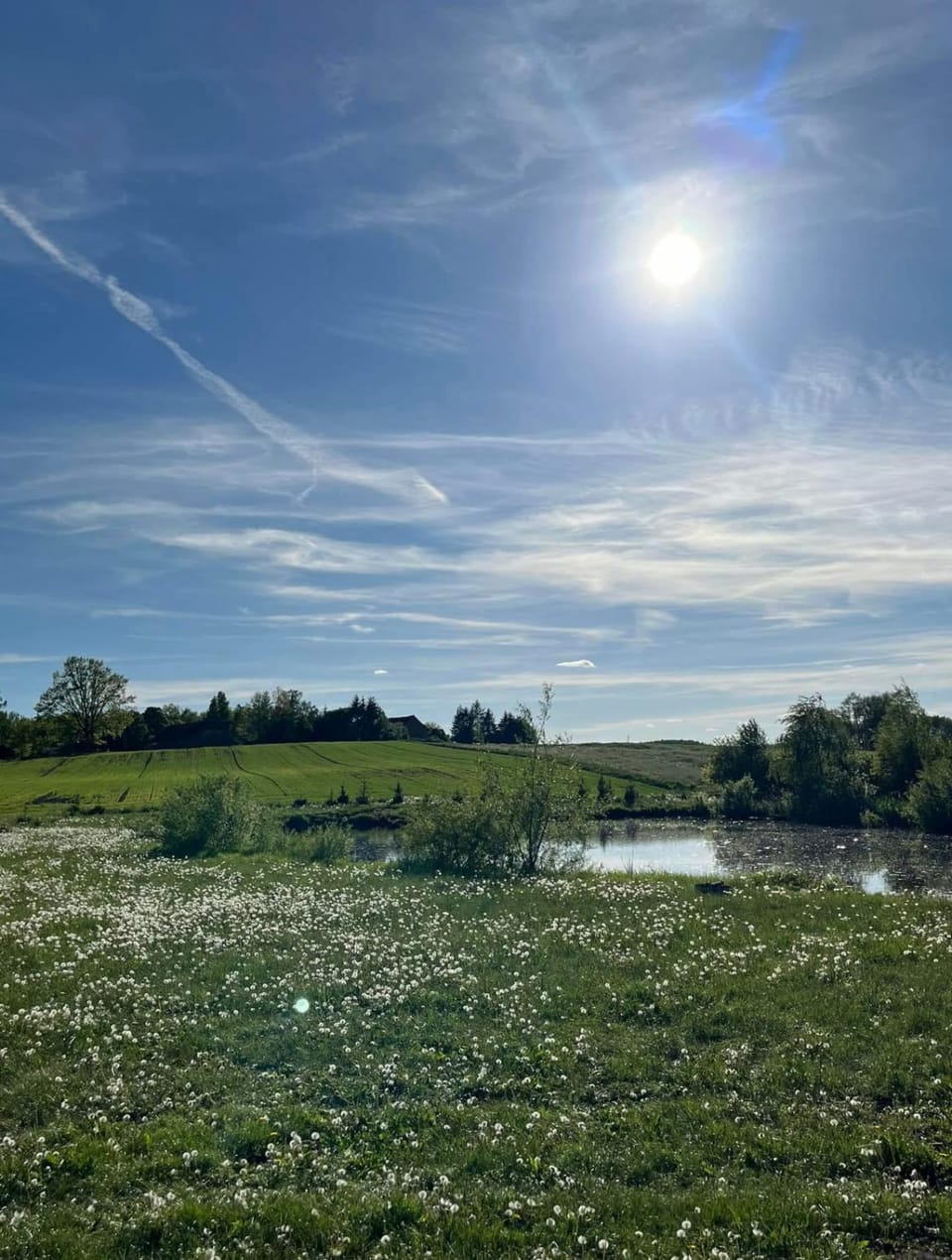 Natural landscape