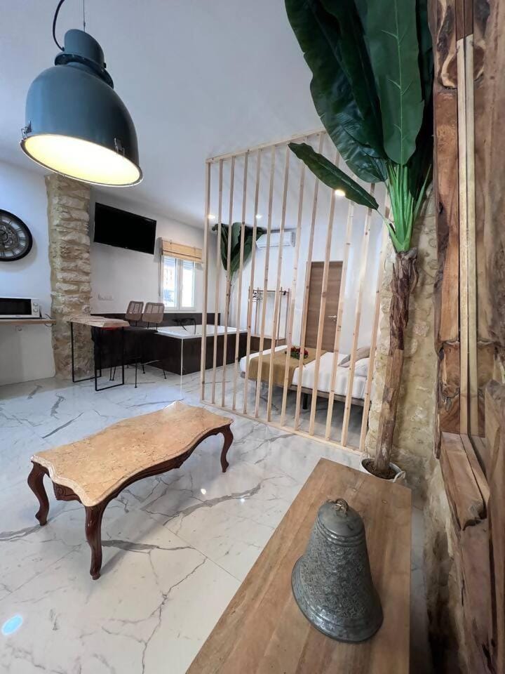 URBAN Premium Jacuzzi estudio céntrico Apartment in Alicante