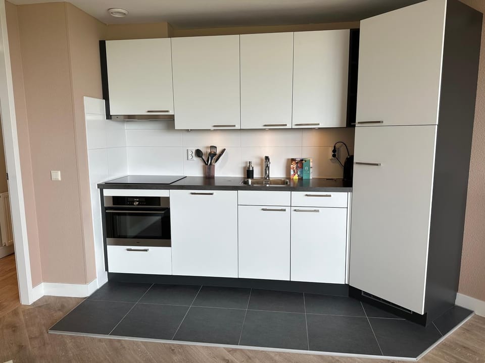 Kitchen or kitchenette, dishwasher, oven, stove