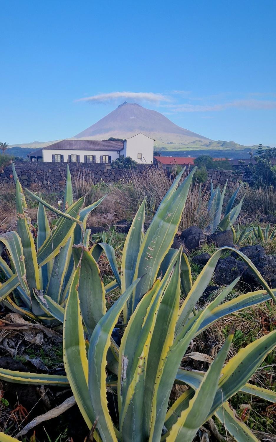 Property building, Natural landscape, Mountain view