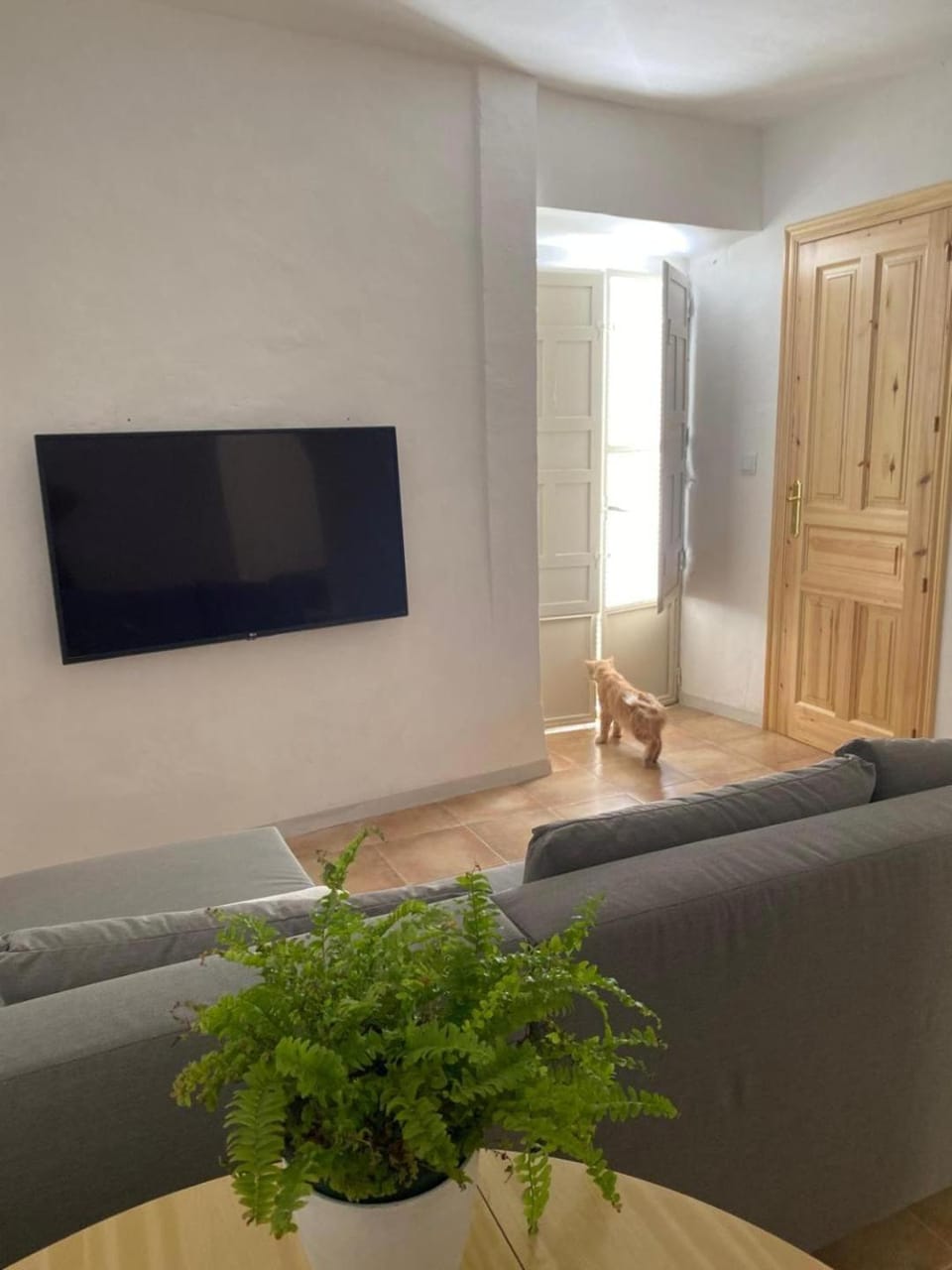 TV and multimedia, Living room, Seating area