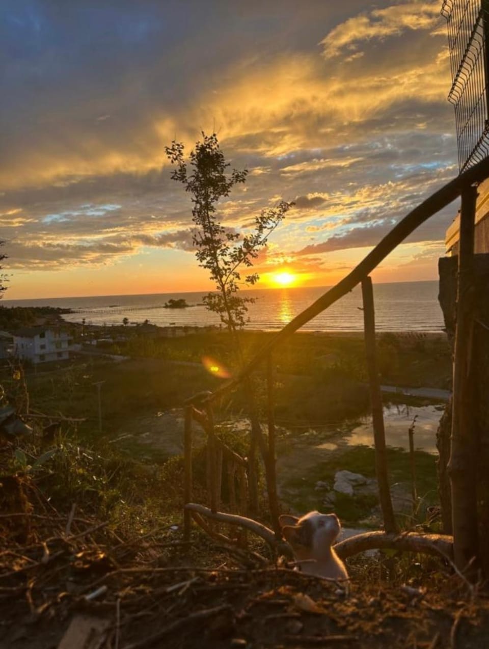 Day, Natural landscape, Sea view, Sunset