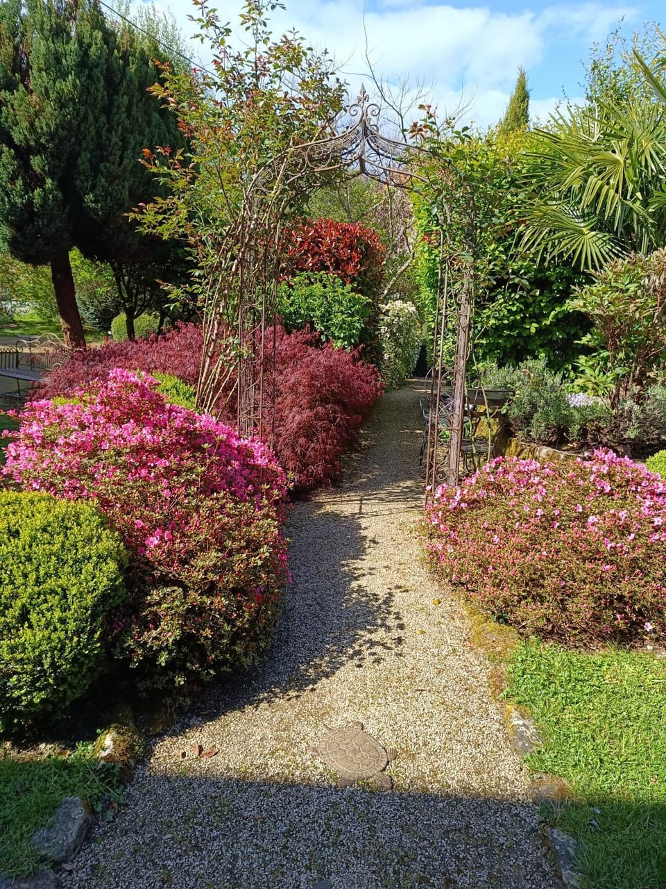 Garden view